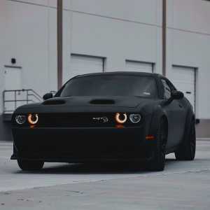 پویان جانقربان