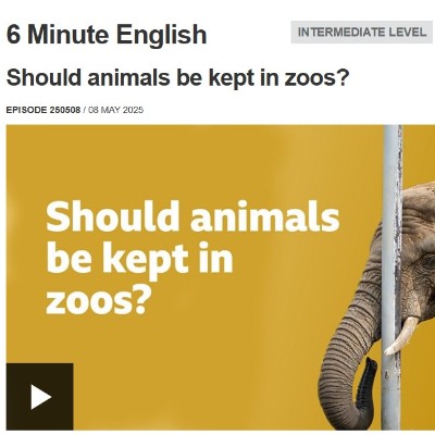Should animals be kept in zoos