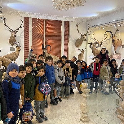 اردوی دارآباد